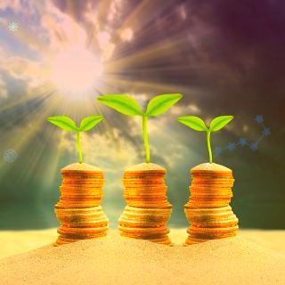 合盛硅业跌3.08%安信证券中金公司高点唱多